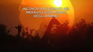 Incontri ravvicinati nel meraviglioso mondo degli animali