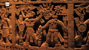 Casa Sapiens
