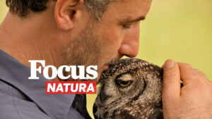Focus natura