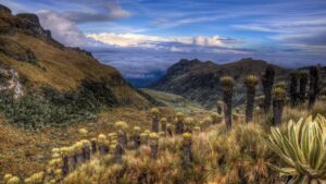 Colombia: paradiso incontaminato – Colombia – Un paradiso incontaminato