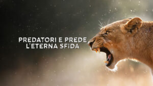 Predatori e prede – L’eterna sfida