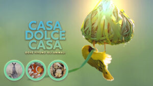 Casa dolce casa – Dove vivono gli animali