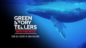 Green Storytellers – Into the Wild