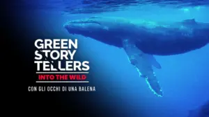 Green Storytellers – Into the Wild