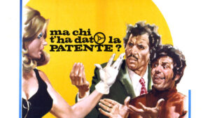 Ma chi ti ha dato la patente?