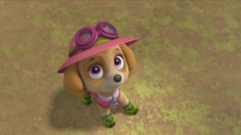 Paw Patrol