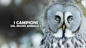 I campioni del regno animale
