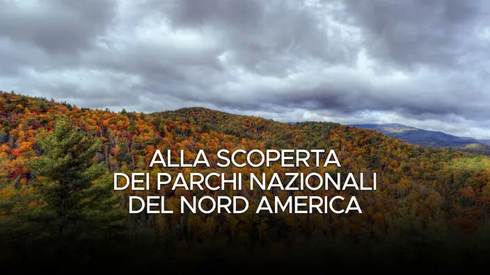 Alla scoperta dei parchi nazionali del Nord America