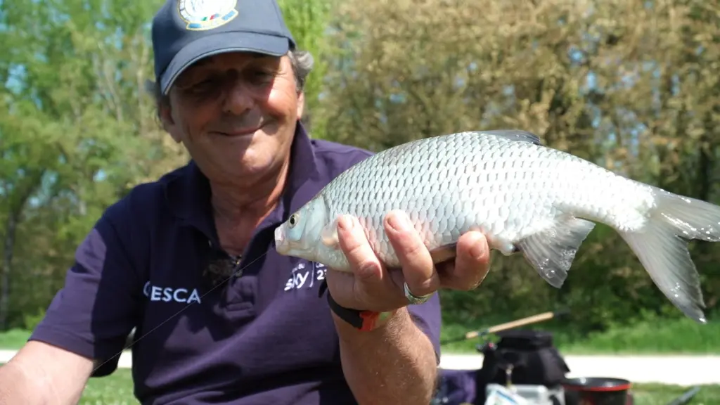 Feeder Fishing 3