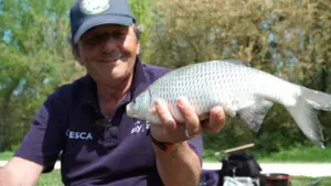 Feeder Fishing 3
