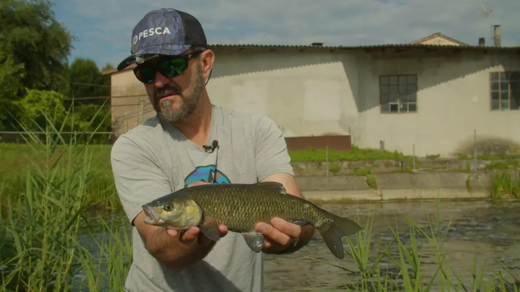 Mistery Lures 1