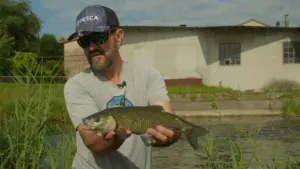 Mistery Lures 1