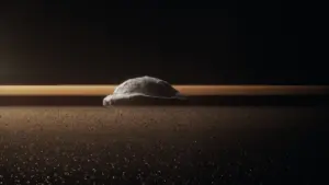 Solar System
