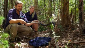 Australia: A caccia di serpenti