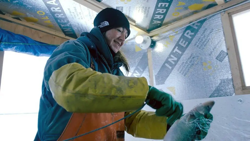 Ice Vikings