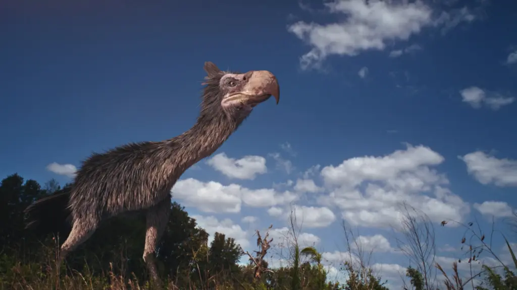 Top Ten: I predatori piu’ bestiali…