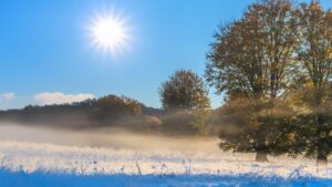 Omnibus Meteo