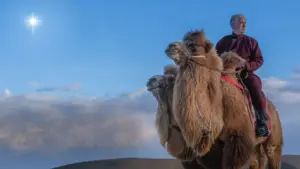 Avventura nel deserto con Gordon Buchanan