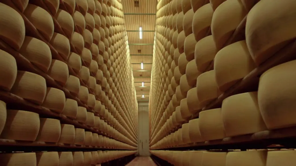 Cheese Hunters