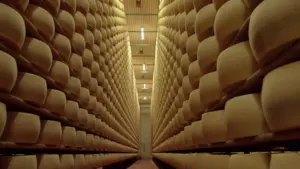 Cheese Hunters