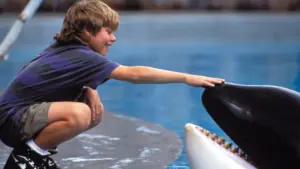 Free Willy: Un amico da salvare
