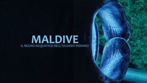 Maldives: Water kingdom of the Indian Ocean