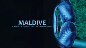 Maldives: Water kingdom of the Indian Ocean