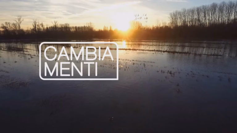 Memex - CambiaMenti