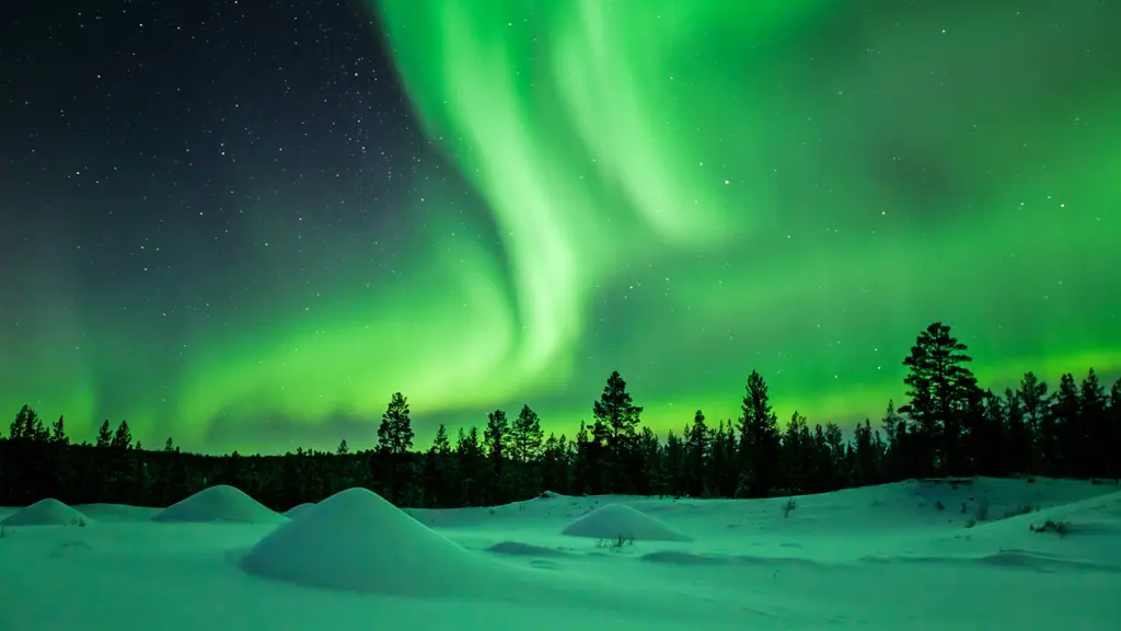 Viaggi nelle terre del Nord