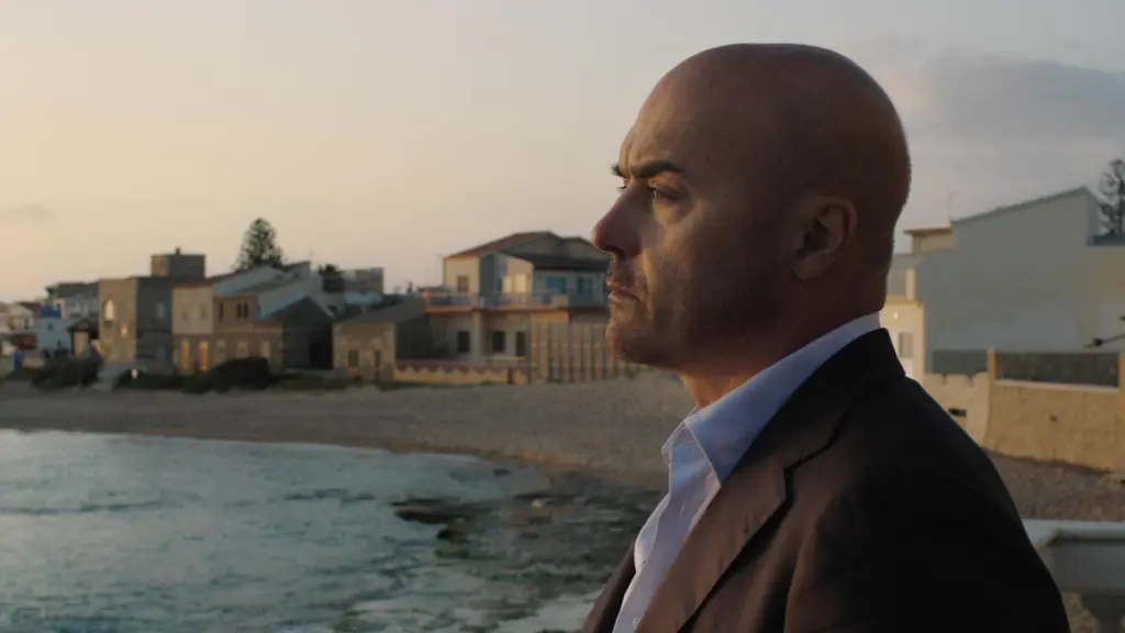 Il commissario Montalbano – Una faccenda delicata