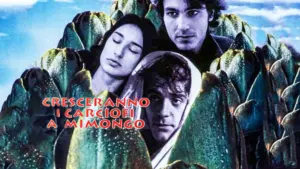 Cresceranno i carciofi a Mimongo