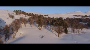 Sottosopra – Sottosopra 15.3