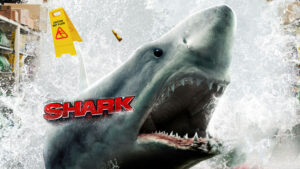 Shark
