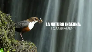 La natura insegna: i cambiamenti – PrimaTv