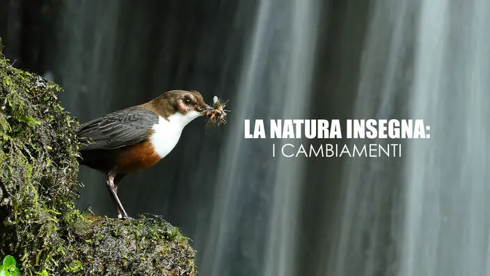 La natura insegna: i cambiamenti – PrimaTv