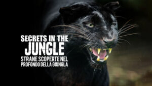 Secrets In The Jungle – Strane scoperte nel profondo della giungla