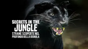 Secrets In The Jungle – Strane scoperte nel profondo della giungla