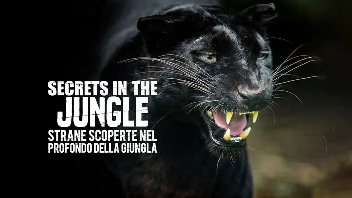 Secrets In The Jungle – Strane scoperte nel profondo della giungla