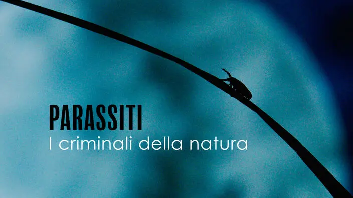 Parassiti: i criminali della natura – PrimaTv