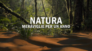 Natura – Meraviglie per un anno – PrimaTv