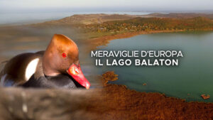 Meraviglie d’Europa – Il lago Balaton