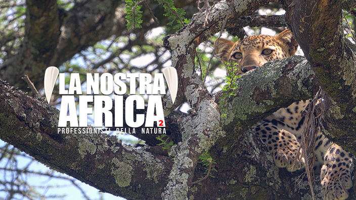 La nostra Africa: Professionisti della natura - PrimaTv