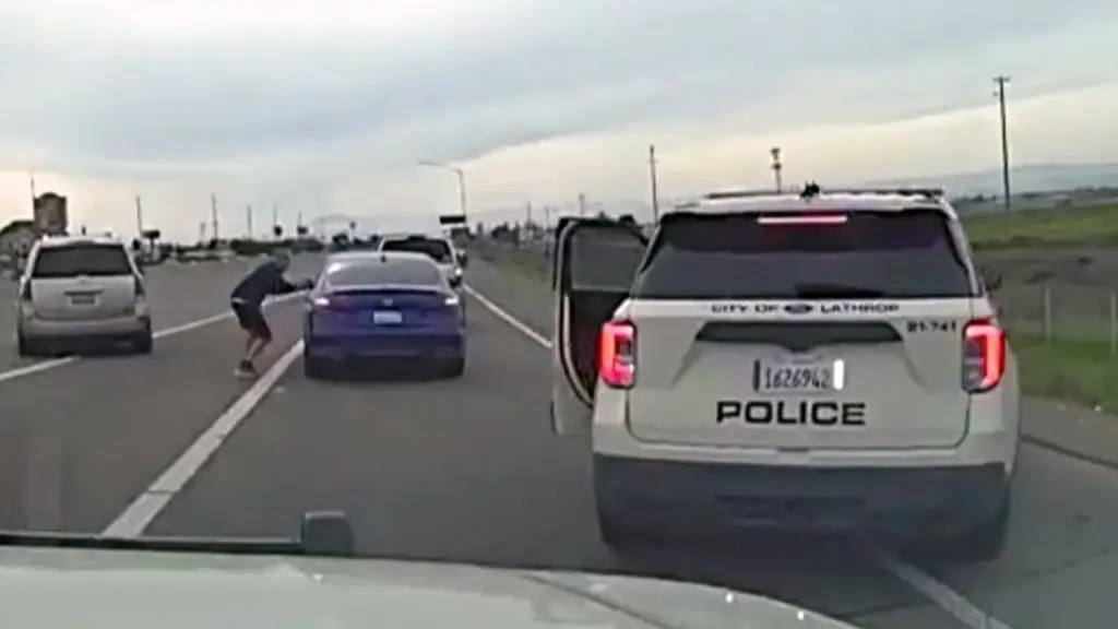 Real Cops