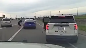 Real Cops