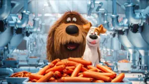 Vita da animali