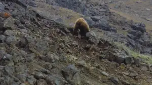 Alla scoperta dei parchi nazionali del..