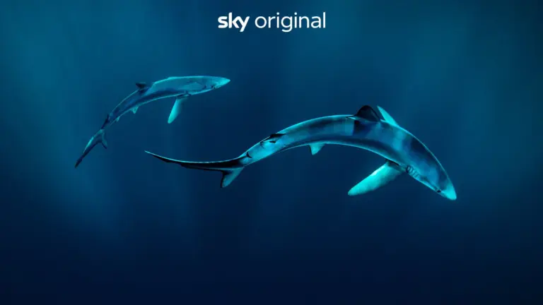 Steve Backshall - Squali del Nord Atlantico