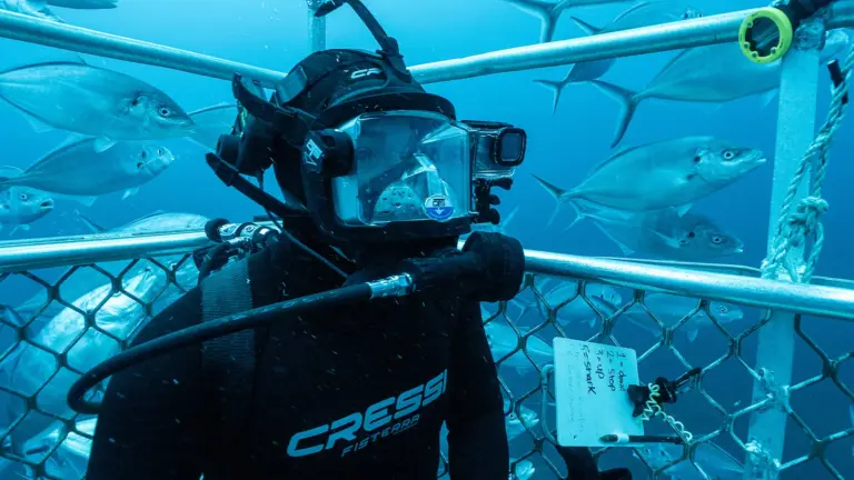 Super Shark - I signori degli abissi
