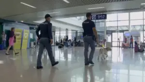 Fiumicino: Operazione Sex & Clean