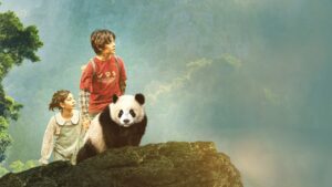 Moon il panda